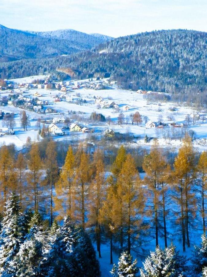 Отель Osrodek Uzdrowiskowy Beskid Высова-Здруй Экстерьер фото