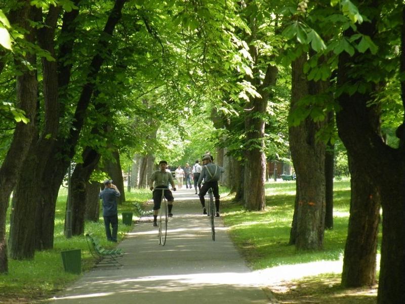 Отель Osrodek Uzdrowiskowy Beskid Высова-Здруй Экстерьер фото